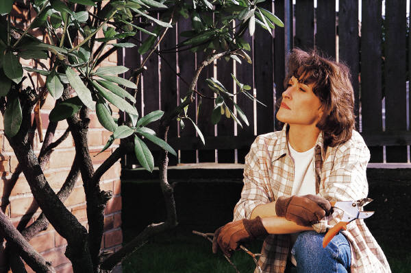 Thinking while gardening Thinking while gardening