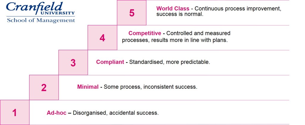 Cranfield project maturity_copyright Indigo Training